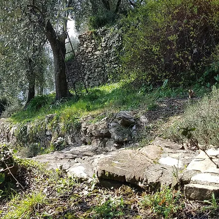 Peaceful In * Rapallo