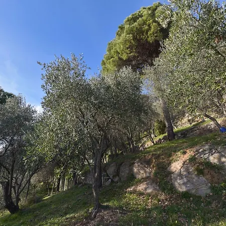 Peaceful In Villa Rapallo
